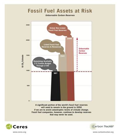 Fossil Fuel Assets at Risk