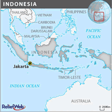 Map of Indonesia in MDG Monitor
