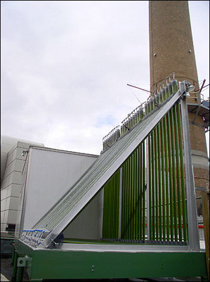 GreenFuel Technology bioreactor