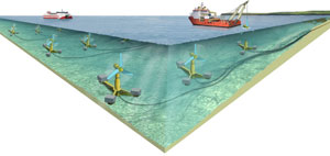 Tidal Energy