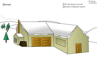 How Does a Biomass Combustion System Work?