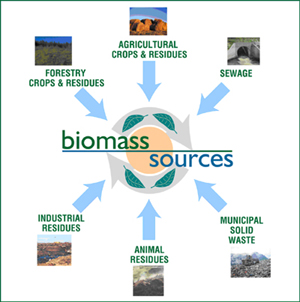 biomass sources