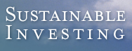 Sustainable Investing Sustainable Investing
