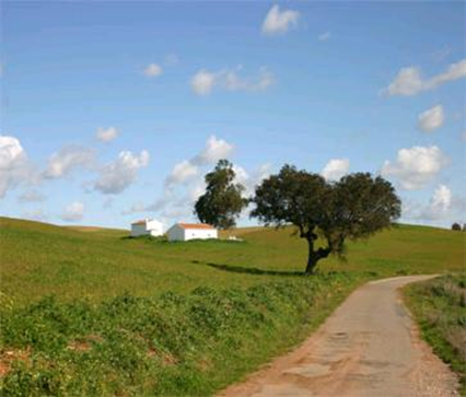 Is 100% Renewable Energy Possible for France by 2020?