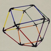 Vector Flexor Fold-a-Form - The "Jitterbug"