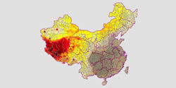 China Solar Resources