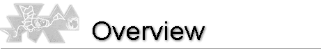Overview Overview