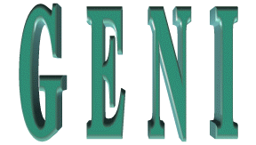 Global Energy Network Institute