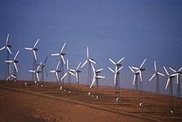Wind
