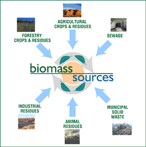 Biomass Sources Biomass Sources