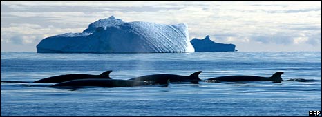 Southern Ocean