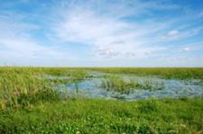 salazar-land-management-climate-change