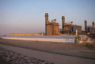 algae green fuel