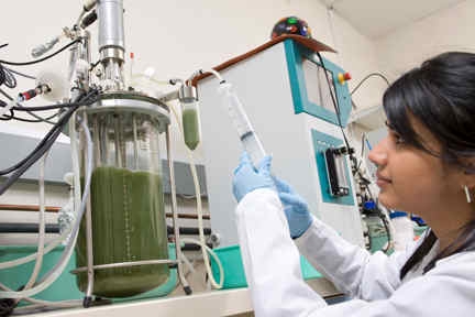 <font size="-1">Solazyme's fermentation