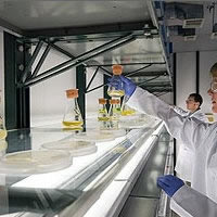 algae-to-fuel
