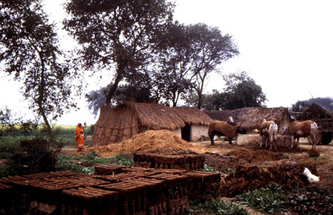 rural uttar pradesh
