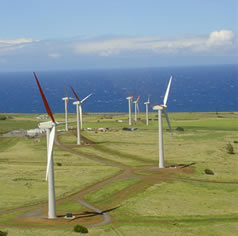 Makani Farm