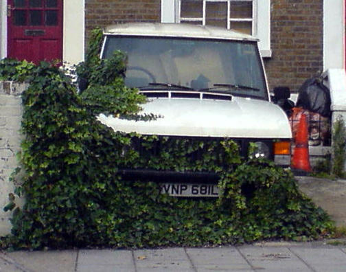 Green Car For a truly emissions-free engine, scientists are looking towards photosynthesis.  Elliot Moore