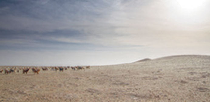 Low cloud cover conditions and abundant free land space in Qatar offer a great potential for solar power plants.