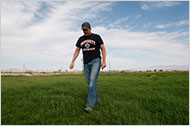 Ed Goedhart said farmers would grow less of alfafa