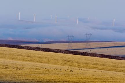 windmills
