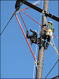 Apprentice linemen
