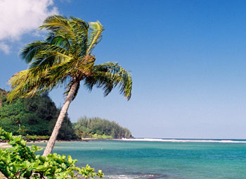 Maui tests smart-grid-technology