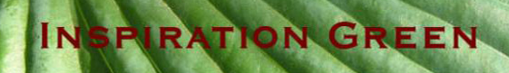 Inspiration Green Inspiration Green