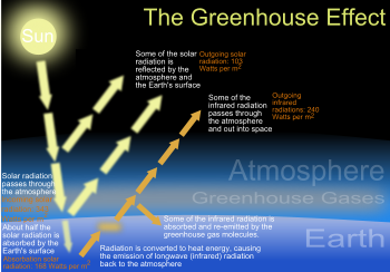 Greenhouse Effect