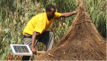 Solar in a village
